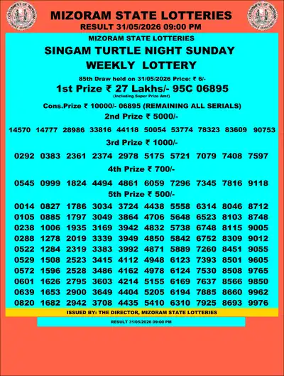 Singam Turtle Night Result 31 May 2026